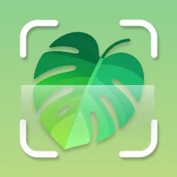 أيقونة Plantid: تعرف على النباتات